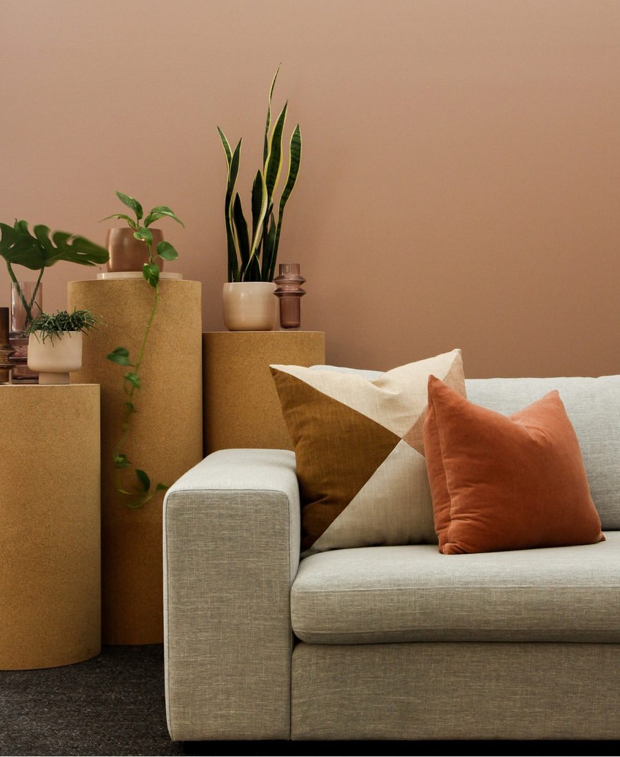 Comfortable living room with a sofa and plants